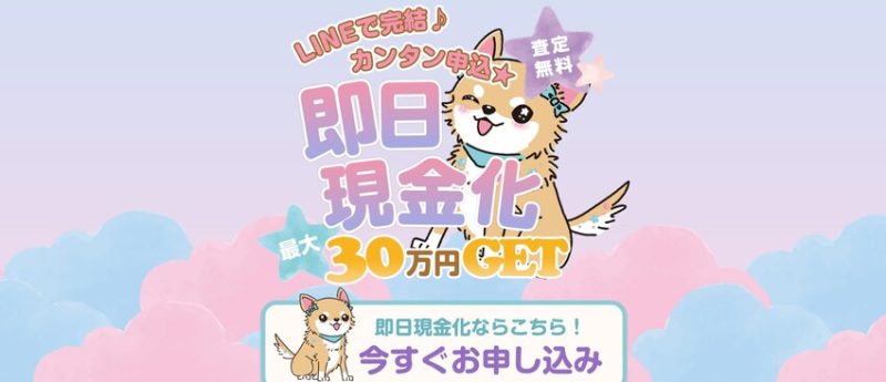 買取チワワ